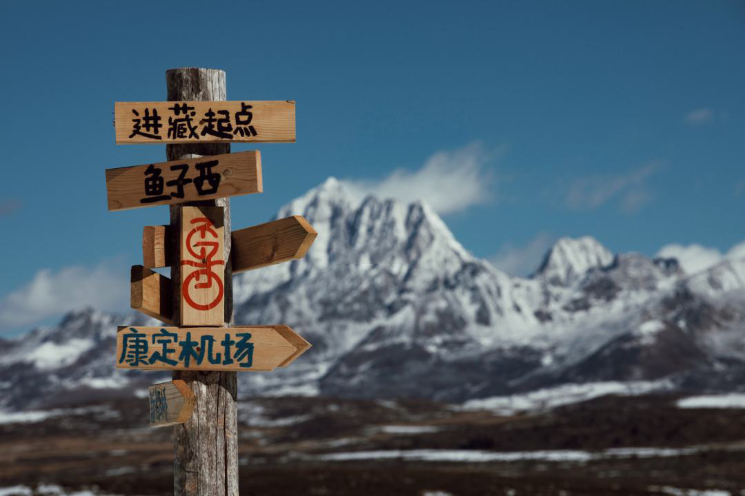 鱼子西