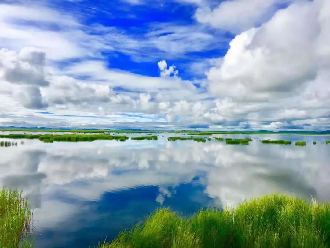 花湖景色