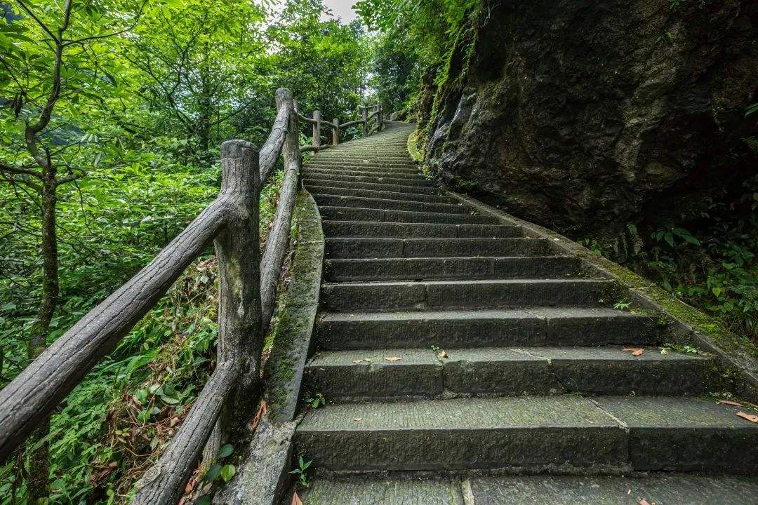 冬季峨眉山徒步线路~伏虎寺-纯阳殿-神水阁