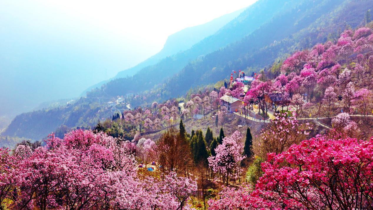 花溪景1_看图王