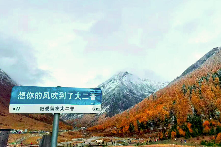理小路1.1