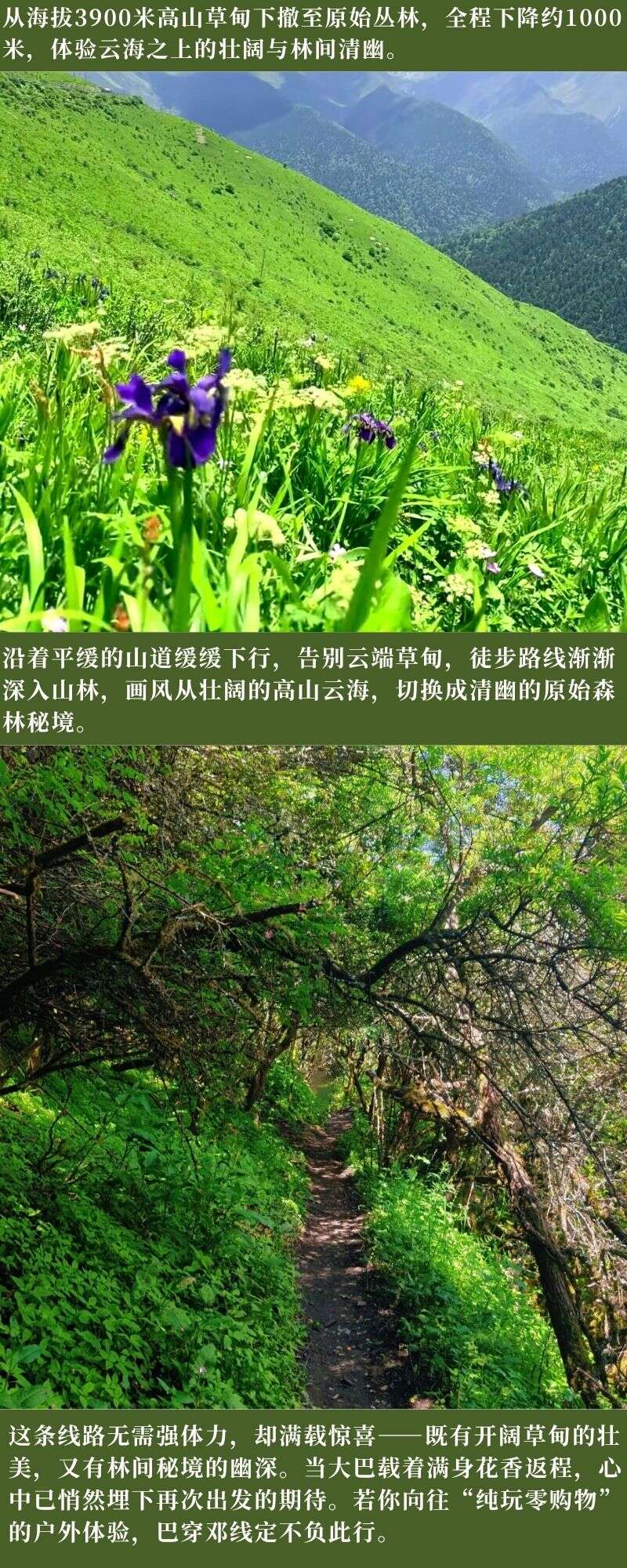 c8b5c8c96b7122316ddf31914a6d7b21
