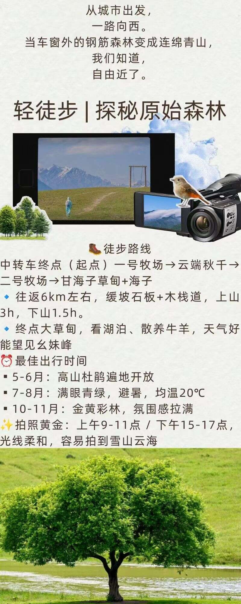 d7c1ff9887ff774034c1472cd2461330